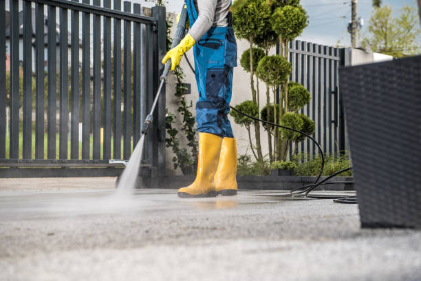 Best Driveway Pressure Washing  in Saltillo, MS